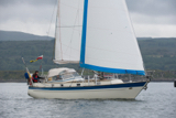 cantata ii 203 whyw17 thur gjmc 8025